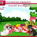���� ��nja, ������, 45 ��� - ��������� 10 ������� 2010 � ������ �PetLove�