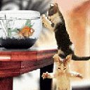 ���� ������ �����, ������, 24 ���� - ��������� 9 ���� 2011 � ������ ������