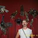 ���� ����� �, �������, 51 ��� - ��������� 3 ���� 2013 � ������ ���� ����������