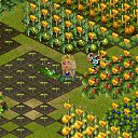  s__mnik,  -  7  2012   Tropikania