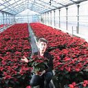 ���� ���������, ������, 60 ��� - ��������� 25 ���� 2013 � ������ ���� ����������