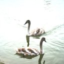 ���� ������, ������, 67 ��� - ��������� 18 ����� 2011 � ������ ���� ��