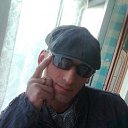  ,  , 52  -  22  2012    