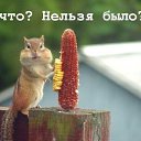 ���� �����, �������, 50 ��� - ��������� 15 ���� 2013 � ������ ���� ����������