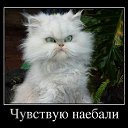 ���� ���������, �����-���������, 55 ��� - ��������� 7 ������ 2012 � ������ ���������