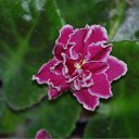  Sergey, , 65  -  11  2010   