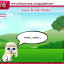  , , 62  -  4  2011   PetLove