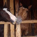 ���������� ��� ������ � ���������� ������� http://vkontakte.ru/app1713637