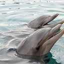 ���� �������, ������� - ��������� 21 ����� 2013 � ������ ���� ����������