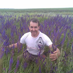 ������, �������, 59 ���