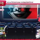 ���� Aleks, ��������, 41 ��� - ��������� 20 ������� 2010 � ������ �PetLove�