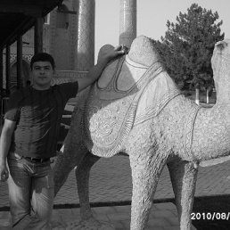 ���� ����������, �������, 41 ��� - ��������� 24 ������� 2011