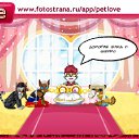  , , 49  -  8  2010   PetLove