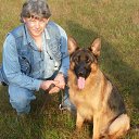 ���� ������, ������-��-����, 65 ��� - ��������� 10 ���� 2013 � ������ ���� ����������