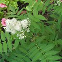  **** , , 64  -  14  2011    20011