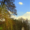 ���� ����, ������, 44 ���� - ��������� 14 ��� 2011 � ������ ���� ����������