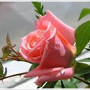 ���� �����, ������, 67 ��� - ��������� 28 ������� 2010 � ������ ���� ����������