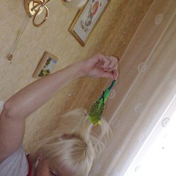 ������� �����