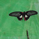 ���� ����, �����-���������, 57 ��� - ��������� 6 ������ 2011 � ������ ���� �������