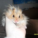 ���� ������ :3, ������, 23 ���� - ��������� 30 ������� 2010 � ������ ���� ����������