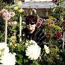 ���� ������ - ��������, �����-���������, 69 ��� - ��������� 25 �������� 2011 � ������ ���� ����������