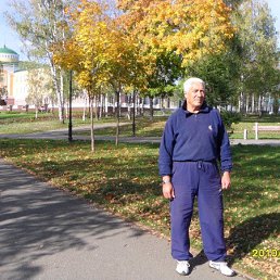 ����, ������, 82 ����