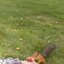 ���� �����, ��������, 56 ��� - ��������� 13 ������ 2012 � ������ ���� ����������