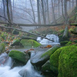 ���� ����, ��������, 34 ���� - ��������� 21 �������� 2011