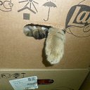 ���� �����, ������-��-����, 50 ��� - ��������� 25 ������ 2013 � ������ ���� ����������