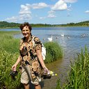 ���� ���������, ������� ��������, 69 ��� - ��������� 12 ���� 2012 � ������ ���� ����������