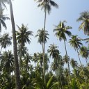 ���� ����, ����������, 40 ��� - ��������� 14 ������� 2012 � ������ �������