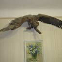 ���� Ns, ������-��-����, 49 ��� - ��������� 6 ������ 2011 � ������ �RoadKing�