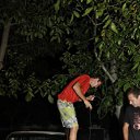 ���� ������, �����������, 41 ��� - ��������� 25 ������� 2011 � ������ ���� ����������