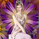  , , 40  -  13  2011   PetLove