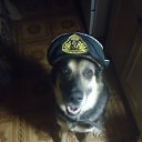 ���� �����, ��������, 46 ��� - ��������� 9 �������� 2012 � ������ ���� ������ ))�