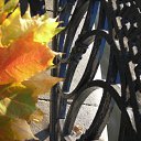 ..������ ������ ��� ������� ���������... �� ������� ���� ����������