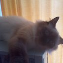 ���� ����, �������� - ��������� 22 �������� 2012 � ������ ����� �������)))�