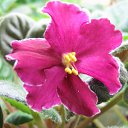 ���� ������, ����������� - ��������� 9 ��� 2010 � ������ ���� ������