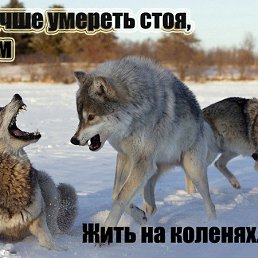 ���� �������, �������������, 38 ��� - ��������� 1 ����� 2012