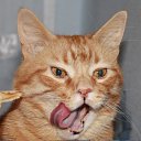 ���� ����, ������ �����, 64 ���� - ��������� 22 ������� 2011 � ������ ���� ����������