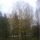  ˸, , 54  -  9  2011   PetLove