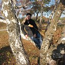 ���� ������, ������, 52 ���� - ��������� 12 ���� 2013 � ������ ���� ����������