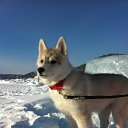 ���� ���������, �����-���������, 42 ���� - ��������� 13 ������� 2012 � ������ ���������