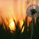  Natalia, , 62  -  17  2012   