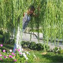  Aleksa , , 45  -  6  2010   (5 )