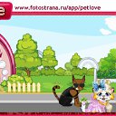  , , 31  -  10  2010   PetLove