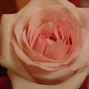 ���� ���, ������������, 31 ��� - ��������� 13 ���� 2010 � ������ �������