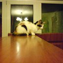 ���� Hell Girl, ���������, 31 ��� - ��������� 22 ������� 2010 � ������ ��������� ���