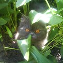  E.lena, , 62  -  13  2010    