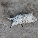 ���� ����, ����, 34 ���� - ��������� 6 ������� 2012 � ������ �������